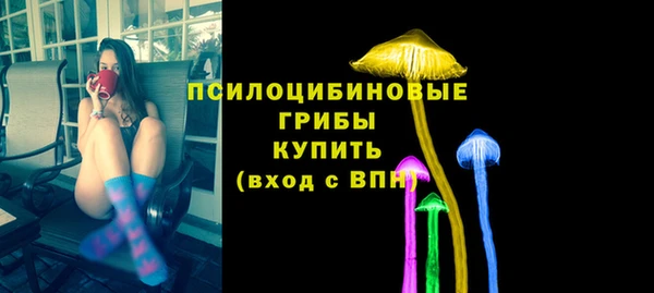 соль ск Богородск