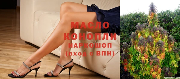 прущие грибы Сосновый Бор