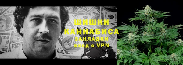 сатива Богданович